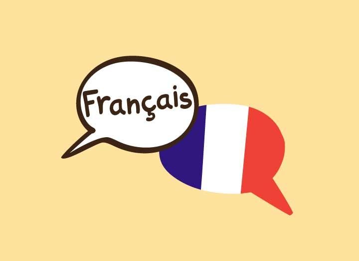 Advanced French Course